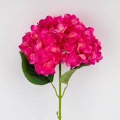 (2026-009/plum red)