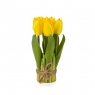 Букет тюльпанів 19 см, жовтий (8931-003)