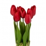 Букет тюльпанів 25 см, червоний (8931-011)