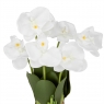Букет орхідей 33 см, білий (8931-016)