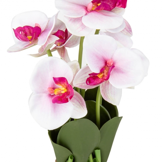 Букет орхідей 33 см, біло-рожевий (8931-017)