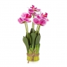 Букет орхідей 33 см, рожевий (8931-018)