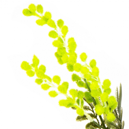 Мімоза 85 см., зелена (8932-008)