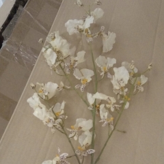 УЦЕНКА Орхидея (силикон, 70 см) (Сыпятся цветы, оттенок цветов немного видоизменен) (115F/white)