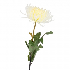 Хризантема "Вдохновение", кремовая, 82 см (2000-085WT)