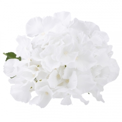 Искусственная гортензия "Клара", белая (2000-091WT)