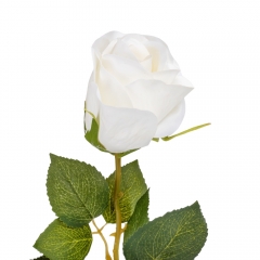 Роза "Флорис", белая, 70 см (2000-096WT)