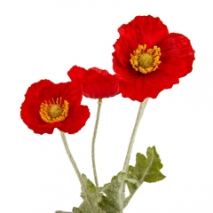 Мак красный, 58 см (9023-019)