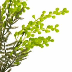 Мимоза "Возрождение", зеленая, 85 см (9023-032)