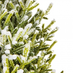 Декоративные елочки "Зимняя грация" (18919-015)