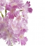 Декоративні квіти "Волошки" рожеві (8721-004)