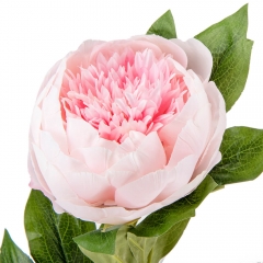 Пион "Нежность", 70 см (6018-138)