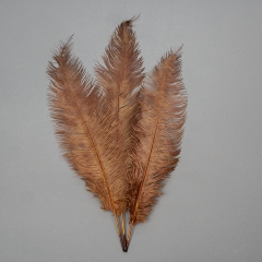 Страусиное перо 55 см коричневый (8501-001/brown)