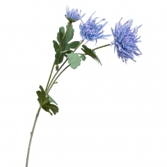 Хризантема  голубая (2000-046BU)