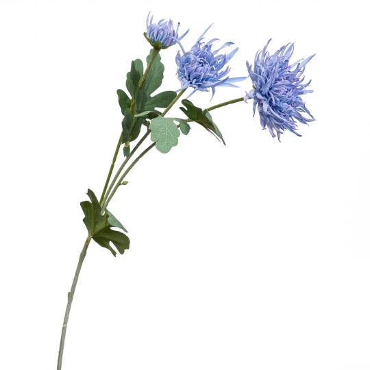 Хризантема блакитна (2000-046BU)