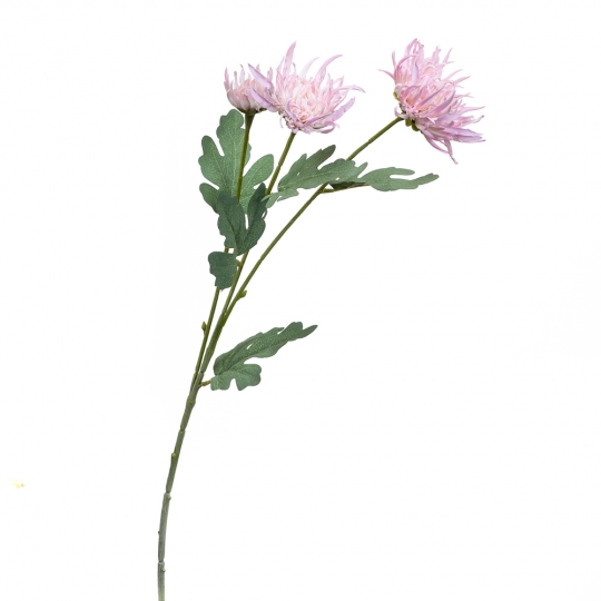 Хризантема рожева (2000-048PK)