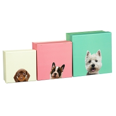 Набор коробок "Друг детства" 3 шт (8427-009)