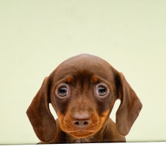 Набор коробок "Друг детства" 3 шт (8427-009)