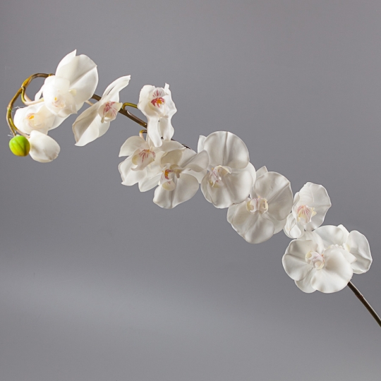 УЦІНКА Орхидея (170 см, силикон) (сіра, потускніла) (009F/white)