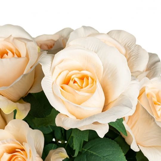 Букет з кремових троянд, 48 см (8409-025)