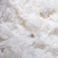 Декоративне пір