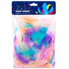 Декоративные перья, цветные (9094-012)