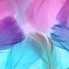 Декоративные перья, цветные (9094-012)