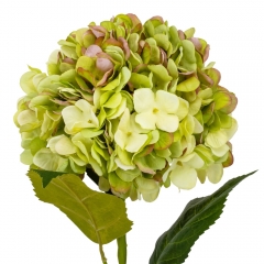 Гортензия "Анабель", зеленая, 57 см (9160-017)