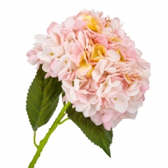Гортензия "Анабель", розовая, 57 см (9160-019)