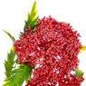 Квітка штучна "Вібурнум", червона (8024-001)