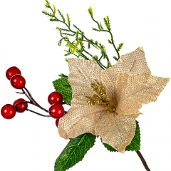 Пуансеттия золотая (019NT)