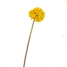 Квітка штучна "Гортензія куляста", жовта (8100-066)