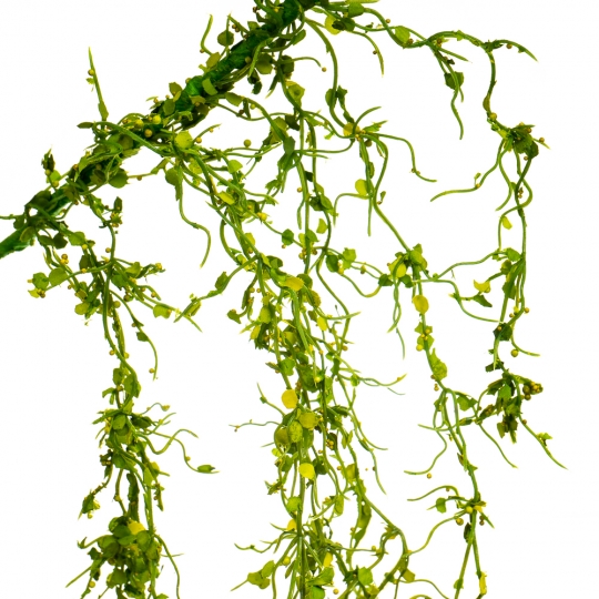 Гілка "Квітуча злива", зелена, 120 см (8100-007)