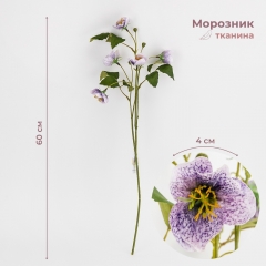 Морозник штучний (Різдвяна троянда), ліловий, 60 см (2028-006/lilac)