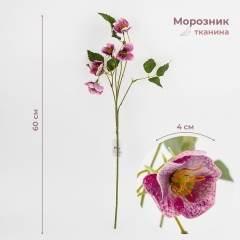 Морозник штучний (Різдвяна троянда), фіолетовий, 60 см (2028-006/lt.beauty)