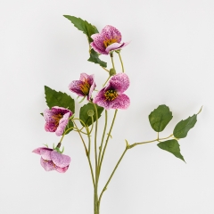 Морозник штучний (Різдвяна троянда), фіолетовий, 60 см (2028-006/lt.beauty)