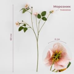 Морозник штучний (Різдвяна троянда), рожевий, 60 см (2028-006/pink)