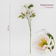 Морозник штучний (Різдвяна троянда), кремовий, 60 см (2028-006/pink-white)