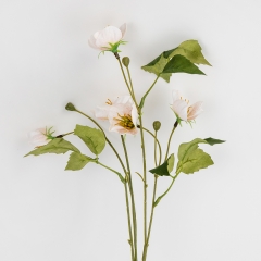 Морозник штучний (Різдвяна троянда), кремовий, 60 см (2028-006/pink-white)