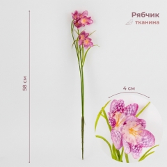 Рябчик (Фрітілярія) штучний, фіолетовий, 58 см (2028-007/It.beauty)