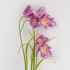 Рябчик (Фрітілярія) штучний, фіолетовий, 58 см (2028-007/It.beauty)