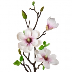 Магнолия "Аврора", бело-фиолетовая, 70 см (9104-001)