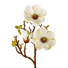 Магнолия "Фелисия", нежно-желтая, 57 см (9104-003)