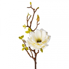 Магнолия "Жозефина", нежно-желтая, 80 см (9104-006)