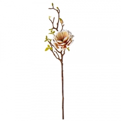 Магнолия "Жозефина", бело-оранжевая 80 см (9104-007)