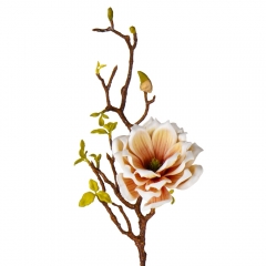 Магнолия "Жозефина", бело-оранжевая 80 см (9104-007)