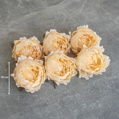 Головка пиона, бежевая, 10 см (9222-062)