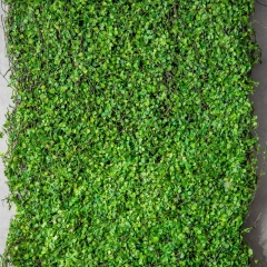 Декоративная панель из искусственной зелени "Травка", 4290 см (9226-001)