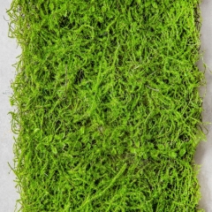 Декоративная панель из искусственной зелени "Мох", 4090 см (9226-002)