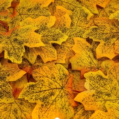 Штучне кленове листя "Золота осінь", жовте, 250 г (9230-004)